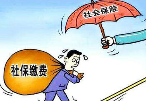 個(gè)人交社保怎么交? 第1張 個(gè)人交社保怎么交? 第1張